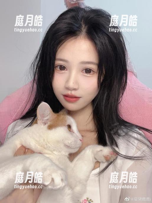 千反田鹿子带你解锁英梨梨皮衣套图：穿越时空的奇幻旅程