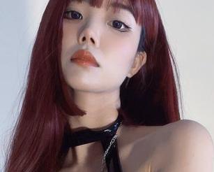 微密圈 – “纪念小小v”的原图与枯萎的郁金香：同行的，是离去的韵味。