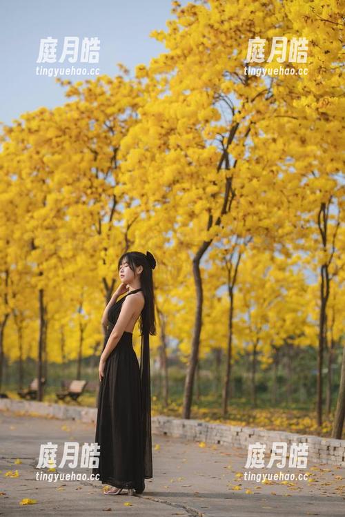 浴缸里萌芽儿o0的轻松一刻，写真资源随心而来