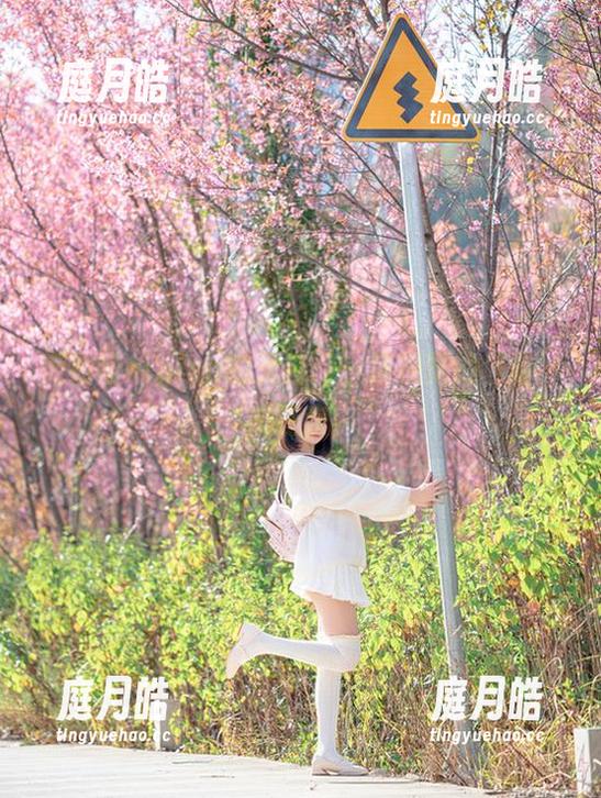 魔物喵nigisa 魔物喵nigisa的天台:一场视觉的‘喵’式狂欢!